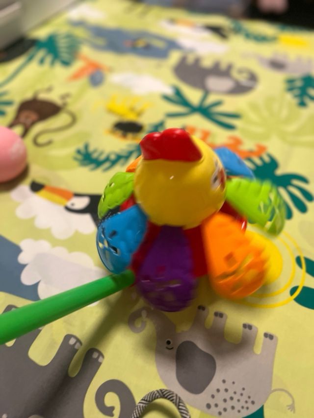 Sonajero Gallo Arrastre