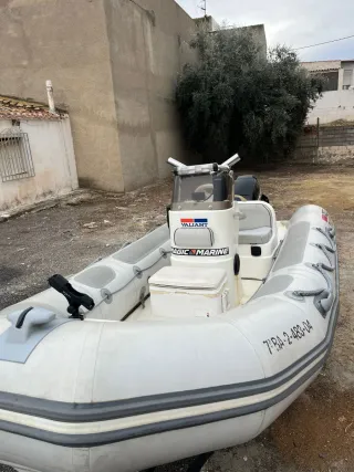Barco 30cv 2t con remolque