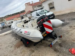 Barco 30cv 2t con remolque