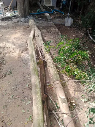 Limpieza,desbroces mantenimiento