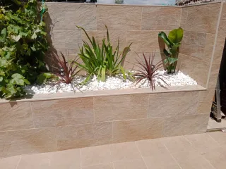 Limpieza,desbroces mantenimiento