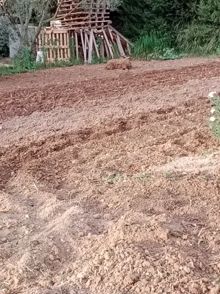 Limpieza,desbroces mantenimiento