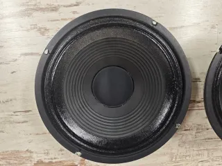 2 Altavoces Celestion G12N-65