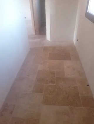 Abedel   busco trabajo paleta mi número 692472453