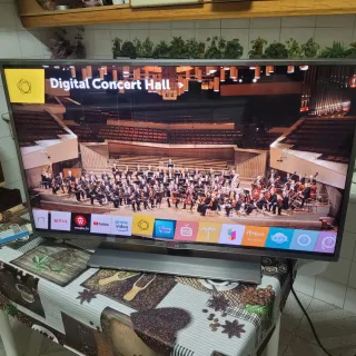 LG 42 Smart TV 4K UHD Plata/Negro