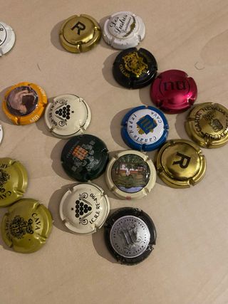 Lote chapas cava variadas