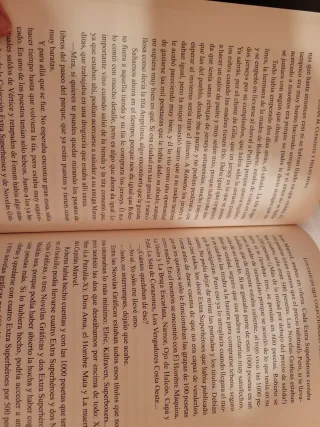 LOS CHICOS QUE COLECCIONABAN TEBEOS (NOVELA)