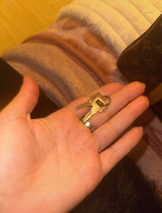 Bolso Louis Vuitton Speedy 30 (sin bandolera)