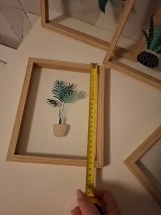 Cuadros Decorativos Plantas