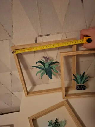 Cuadros Decorativos Plantas