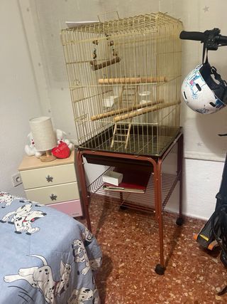 Jaula para loros, agapornis, periquitos