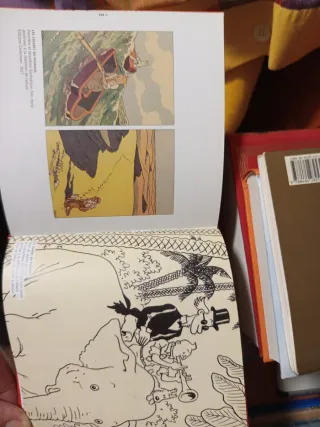 Herge (Pompidou Exhibition Book) (French Edition)