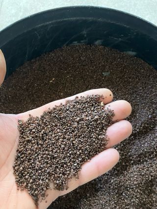 Ghiaia marrone per acquario