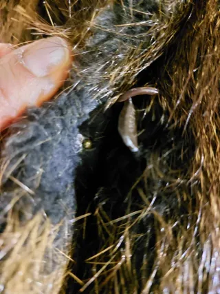 Chaquetón de piel marrón y multicolor