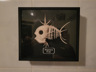 Esqueleto Magikarp Pokemon #129