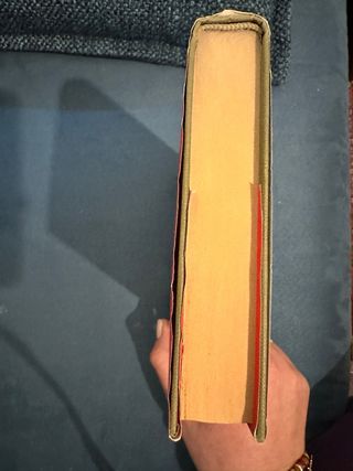 Elena Elena amore mio