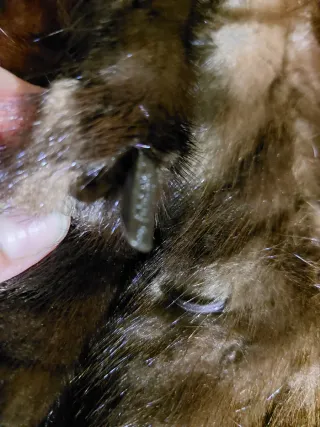 Chaquetón de piel marrón