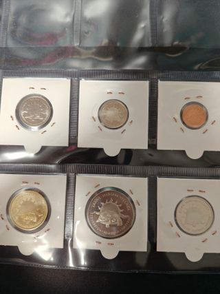 Serie Tribus Indias Jamul 2015