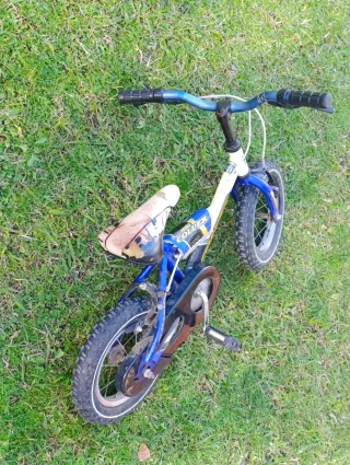 Bicicleta infantil 2-5 años