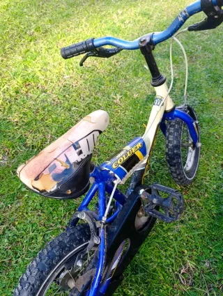 Bicicleta infantil 2-5 años