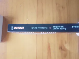 Libro Delito de Carme Chaparro