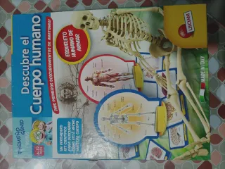 Kit Científico Cuerpo Humano Lisciani