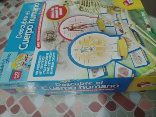 Kit Científico Cuerpo Humano Lisciani