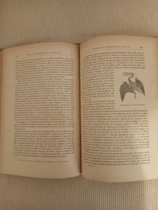 Historia del Progreso siglo XIX