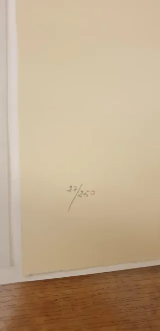 Litografía Agustí Puig 1991 Firmada y Numerada