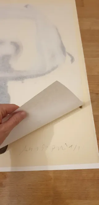 Litografía Agustí Puig 1991 Firmada y Numerada