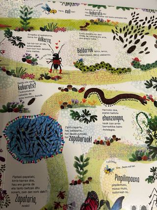 Animalia asko, pila, bila