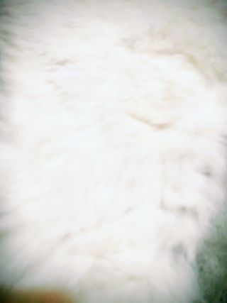 Cuello de pelo sintético blanco roto.