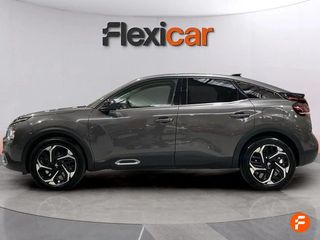 Citroën C4 BlueHDi 130 S&S EAT8 Max