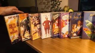 Lote VHS Clásicos Disney y Warner Bros