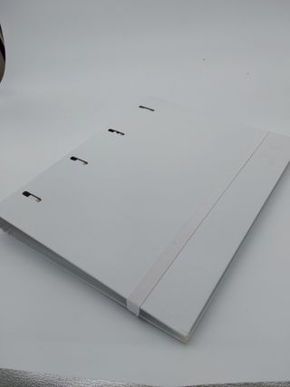 Raylu PaperÂ - Archivador 4 anillas con 5 separadores de colores y recambios de 100 hojas A4 de 90 gr con cuadrÃ­culas 4x4mm, c