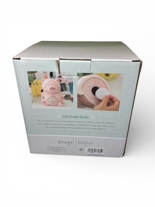 Hucha Cerdito Mr. Wonderful