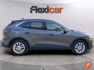 Ford Kuga ST-Line 1.5 EcoBlue 88kW (120CV)