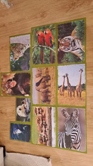 10 Puzzles Animales Trefl 10in1