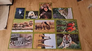 10 Puzzles Animales Trefl 10in1