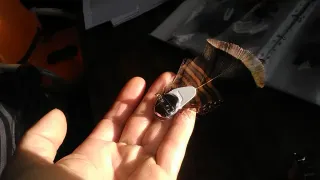 Tocado de plumas naturales para el pelo, gorro