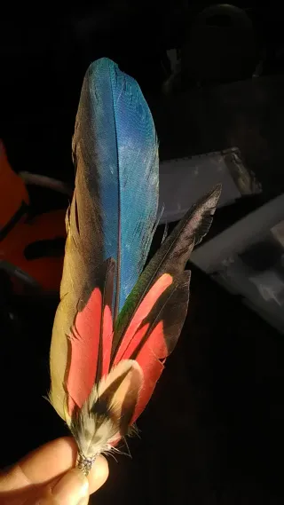 Tocado de plumas naturales para el pelo, gorro