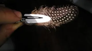 Tocado de plumas natural  para pelo o gorro