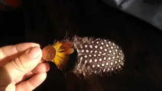 Tocado de plumas natural  para pelo o gorro