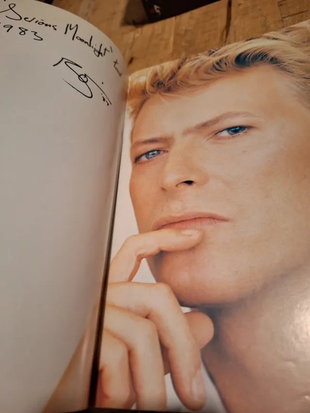 Libro Oficial David Bowie Serious Moonlight Tour '