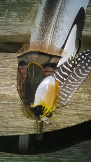 Tocado de plumas de pavo real para pelo o gorro