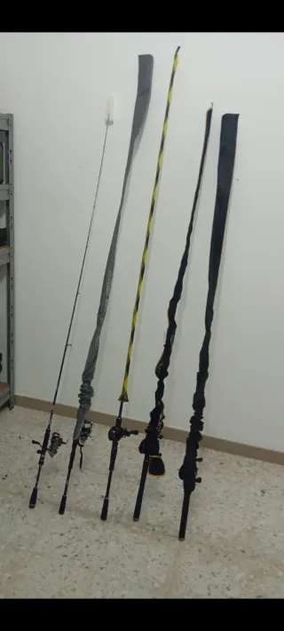 Cañas de pescar spinning y casting