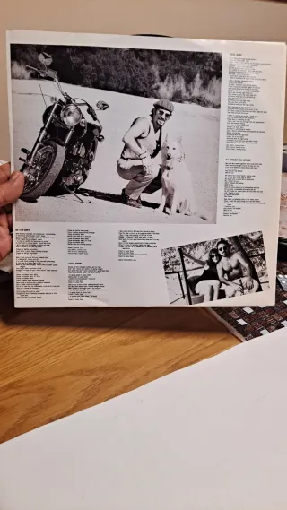 Vinilo Bruce Springsteen Lucky Town