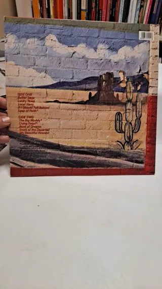 Vinilo Bruce Springsteen Lucky Town