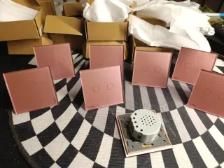 8 Interruptores Dobles Diseño Rosa LIVOLO