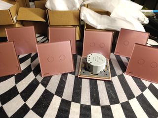 8 Interruptores Dobles Diseño Rosa LIVOLO